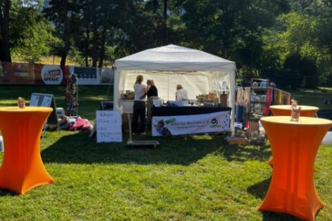 Kurparkfest Bild016